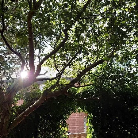 Apartamento Rosi